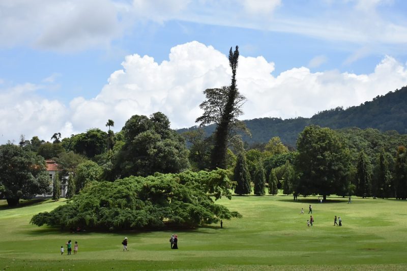 peradeniya botanical garden