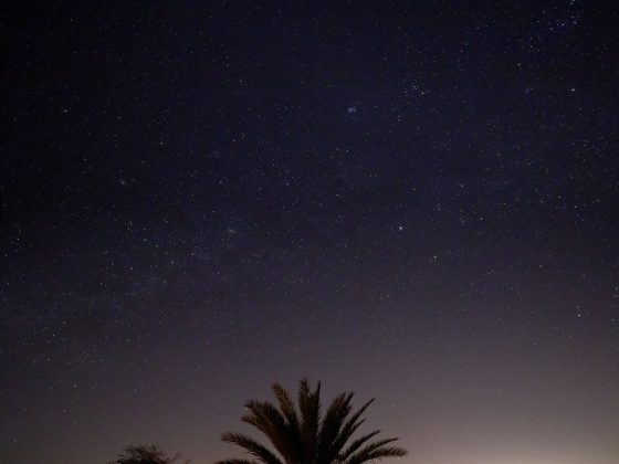 33451123336_70102af946_k