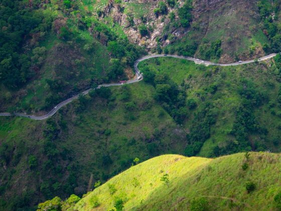 green-g7578ee401_1920