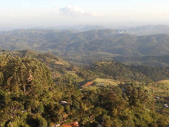 Going to Ella (Unedited)