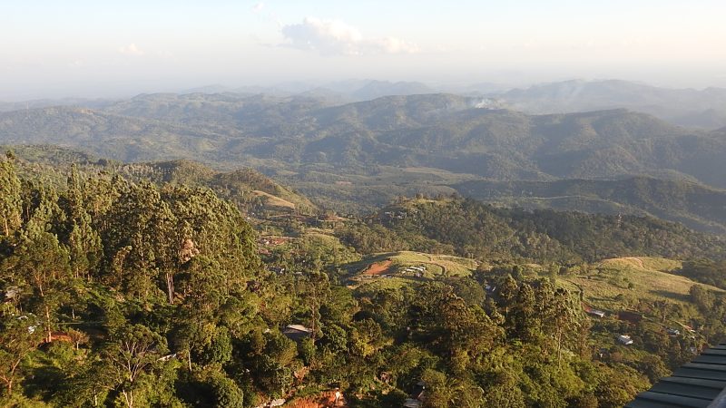 Going to Ella (Unedited)