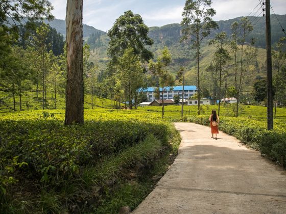 Nuwara Eliya