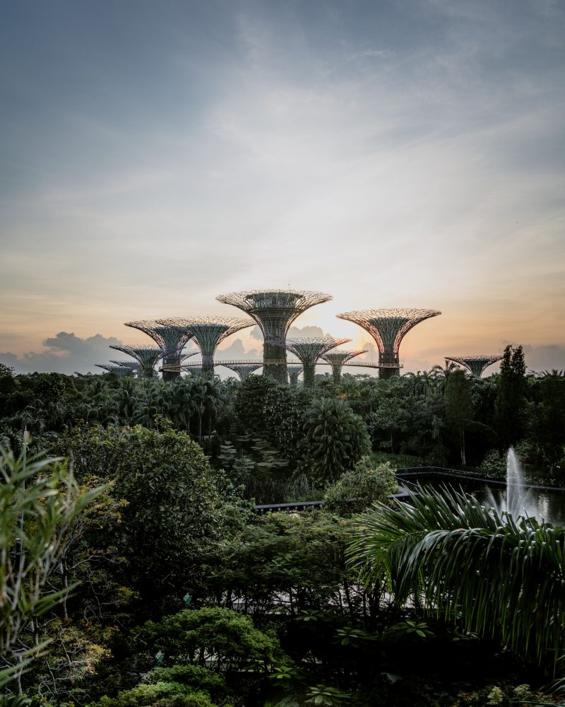 sunrise at gardens by the bay in Singapore