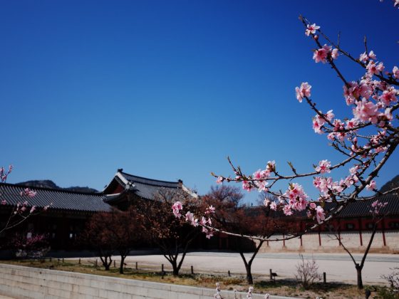 Gyeongbokgung Palace