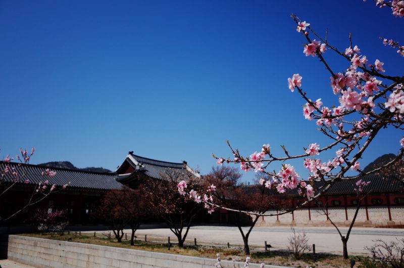 Gyeongbokgung Palace