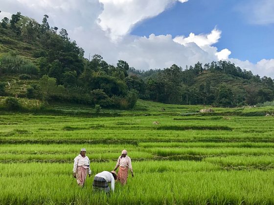 Sri Lankan villagers