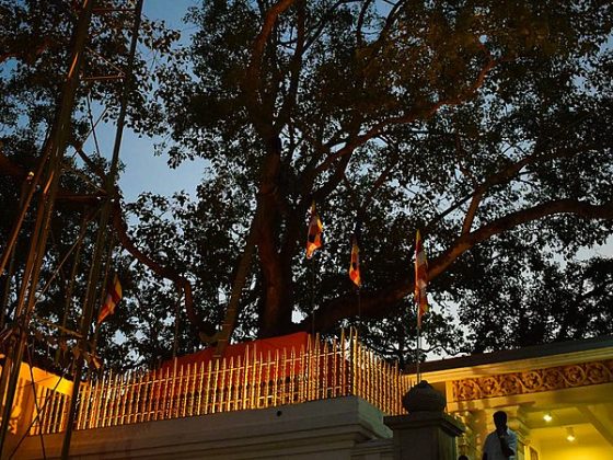 Jaya Sri Maha Bodhiya