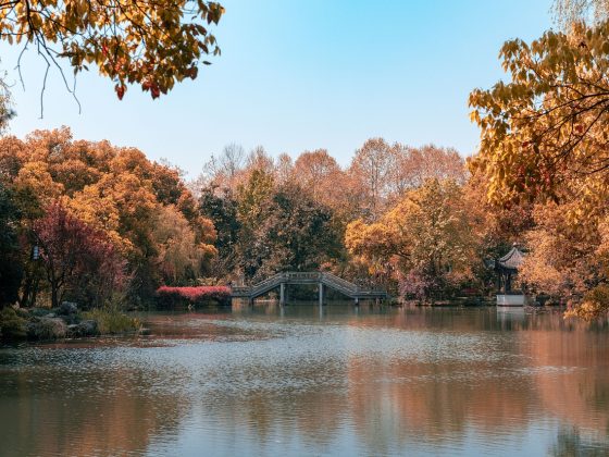 autumn-scenery-4479630_1280