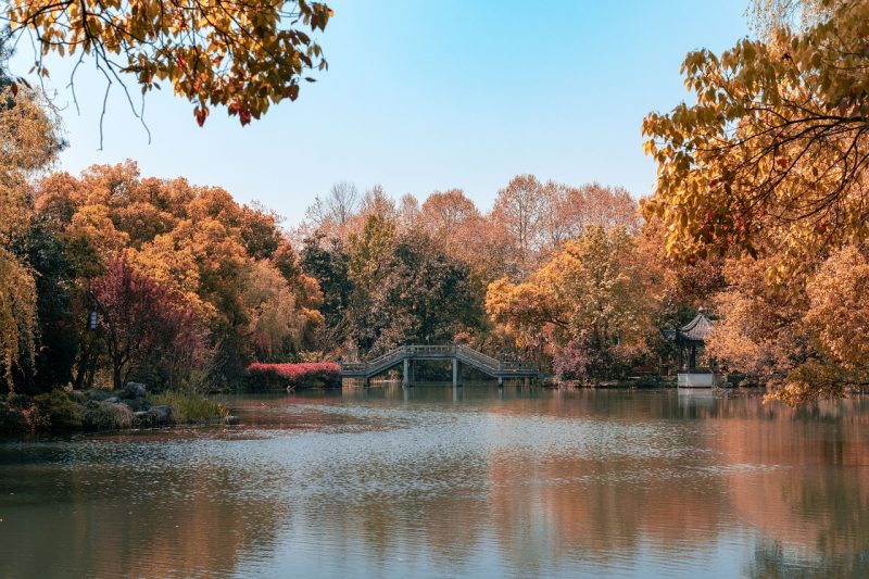 autumn-scenery-4479630_1280