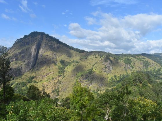 ella-3607619_1280 (1)