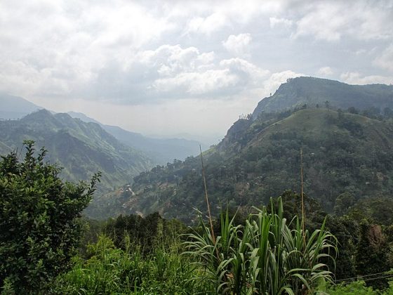 Knuckles Mountain Range