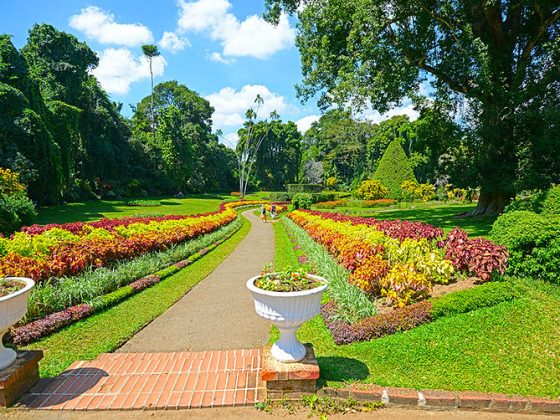 Royal Botanic Gardens